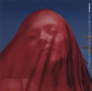 How beauty holds the hand of sorrow